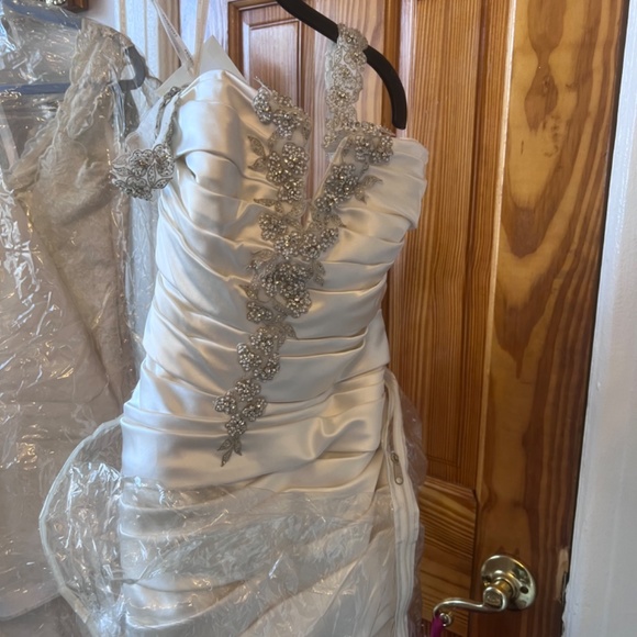 Wedding Gowns - Picture 6 of 11